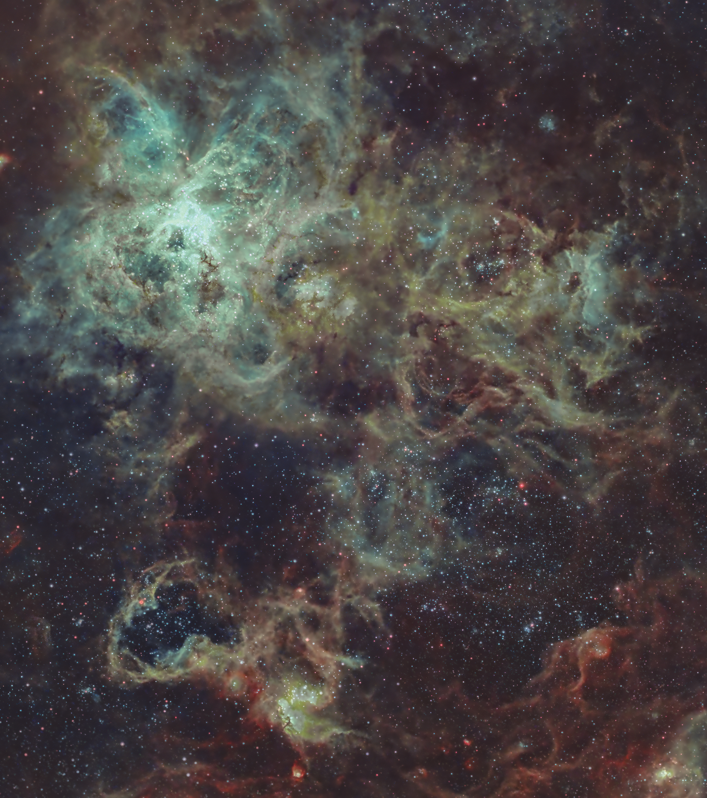 Tarantula Nebula